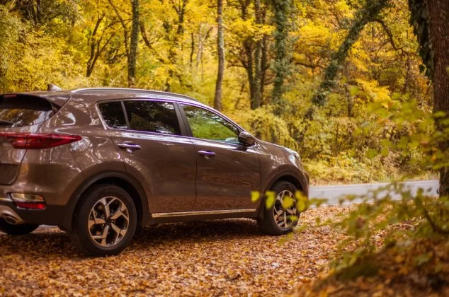 Brown car on a heavily forested road