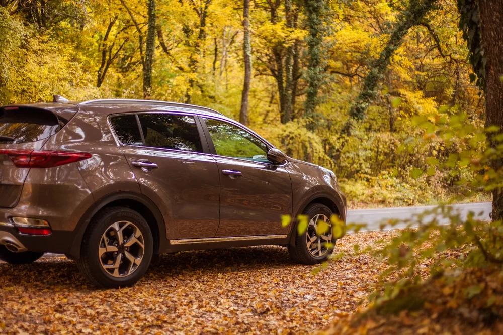 Brown car on a heavily forested road