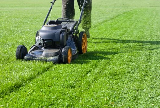 Man pushing a lawn mower across a sunny green lawn