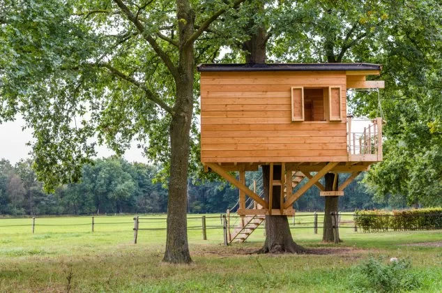 Large treehouse with stairs and a balcony