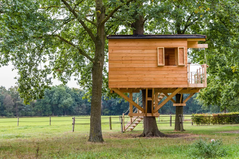 Large treehouse with stairs and a balcony