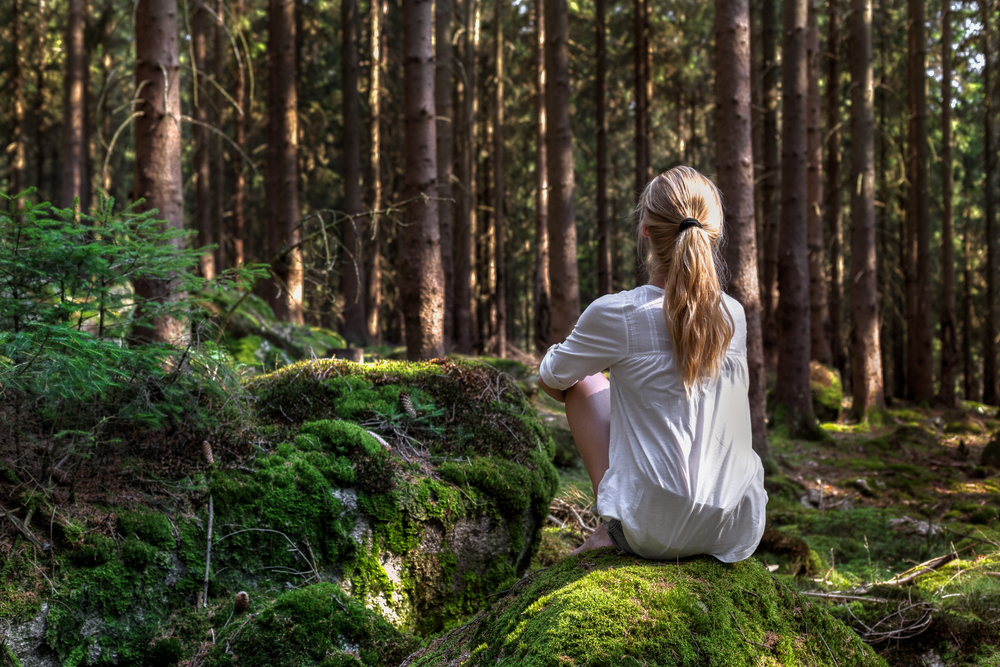 Woman sitting in a forest looking at the trees