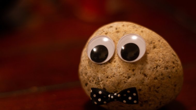 Pet rock with a bow tie and google eyes