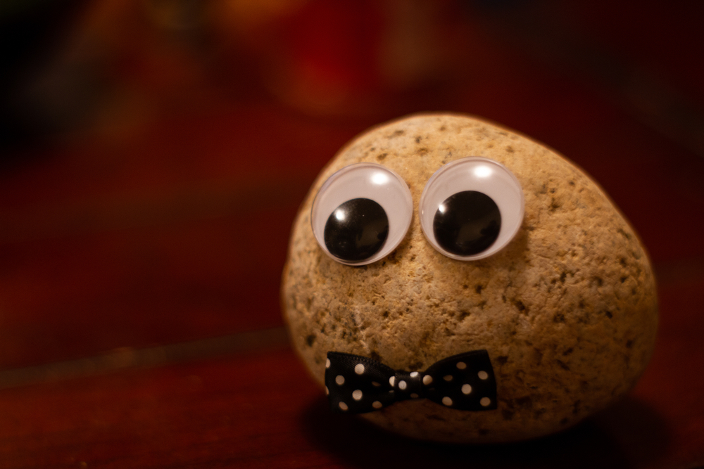 Pet rock with a bow tie and google eyes