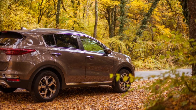 Brown car on a heavily forested road