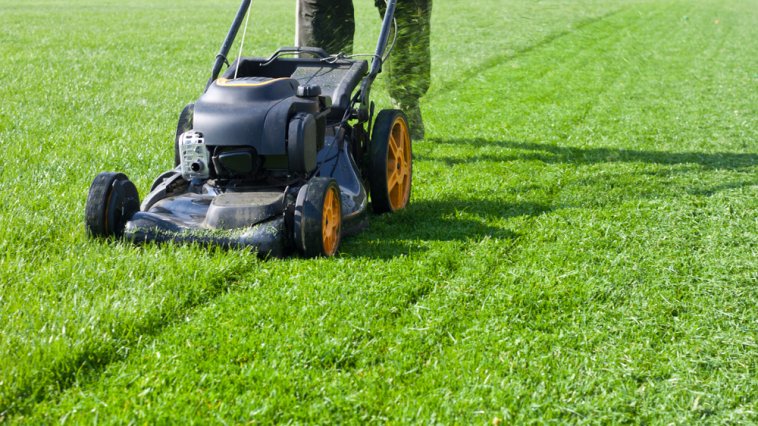 Man pushing a lawn mower across a sunny green lawn