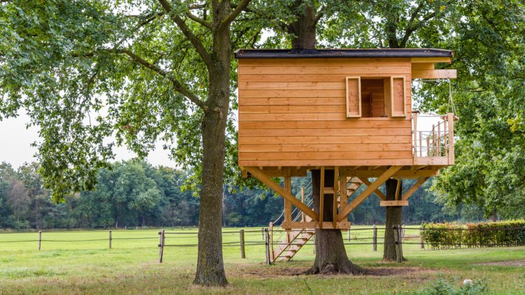 Large treehouse with stairs and a balcony